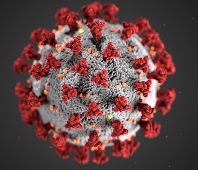 representação microscópica do coronavírus
